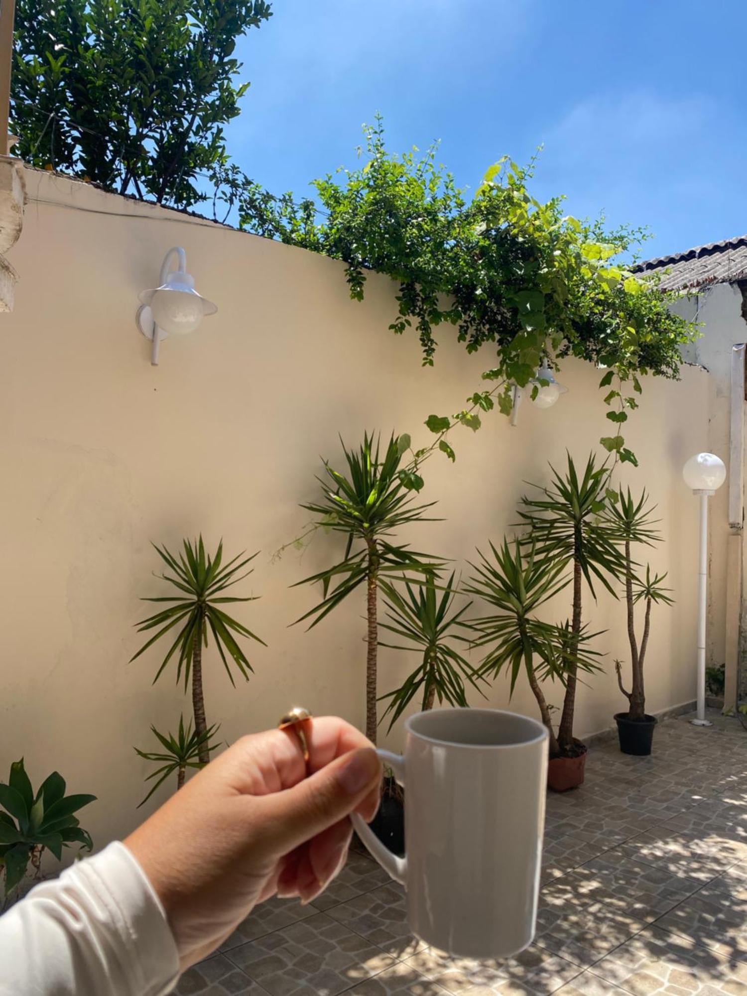 Hostel Amor Por Sp Bras - Pari - Feira Da Madrugada - Expo Center Norte Σάο Πάολο Εξωτερικό φωτογραφία